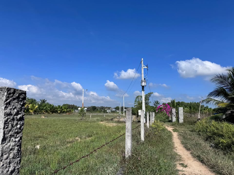 Đất nền La Gi 3600m² giá 1 tỷ - Phù hợp làm nhà vườn hoặc đầu tư!