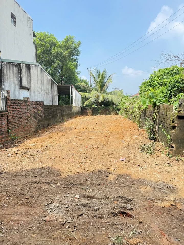 Đất nền Sơn Đông, Sơn Tây 107,9m² giá thỏa thuận - Sát sân Golf, đầu tư sinh lời!