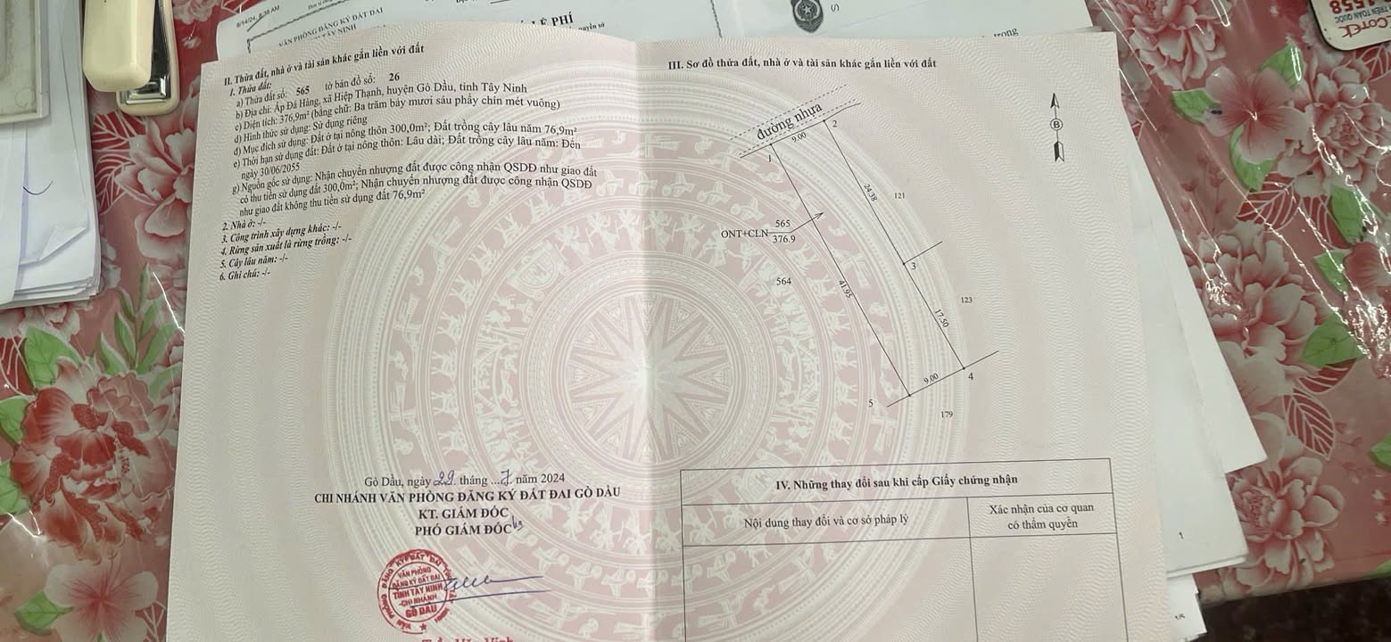 Đất nền thổ cư Hiệp Thạnh 300m² giá 210 triệu - Gần khu công nghiệp đang phát triển!