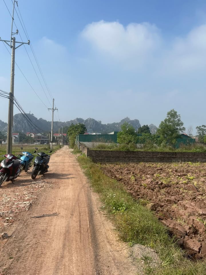 Đất nền Phụng Châu, Chương Mỹ 700m² giá 2 tỷ - Tiềm năng phát triển cao!