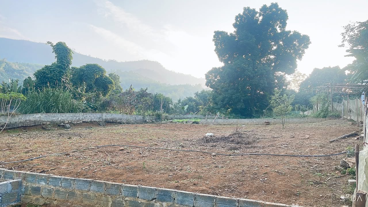 Đất nền Phú Mãn 295m² giá chỉ 3.047 tỷ - Cơ hội đầu tư lý tưởng!