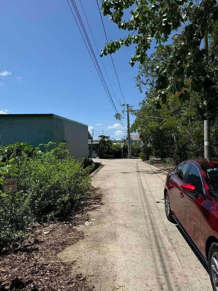 Đất thổ cư 54,8m² đường Trương Phùng Xuân, phường 8 Cà Mau - Sổ đỏ chính chủ chỉ 380 triệu!