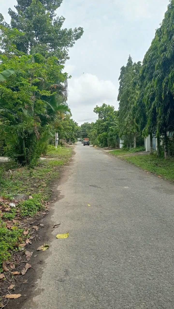 Đất nền đẹp tại khu C Trường ĐH Đồng Tháp 115m² giá chỉ 1.35 tỷ - Cơ hội sở hữu ngay!