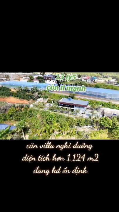 Villa nghỉ dưỡng An Sơn Đà Lạt 1.124m² chỉ 13,5 tỷ - View rừng thông tuyệt đẹp!