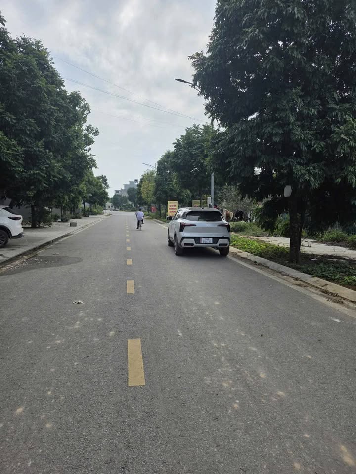 Đất nền Đông Hải 65m² giá 3 tỷ - Cơ hội đầu tư hiếm có!