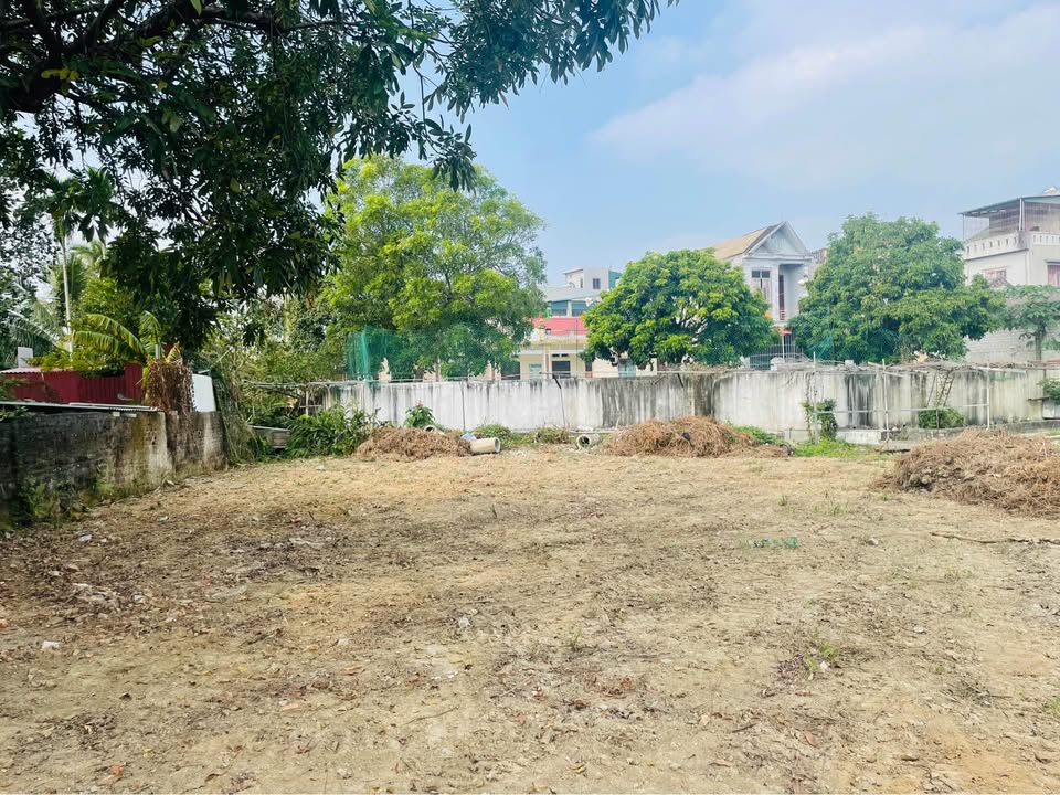 Đất thổ cư Phường Đông Sơn, 394m² giá chỉ 2 tỷ - Cơ hội đầu tư tuyệt vời!