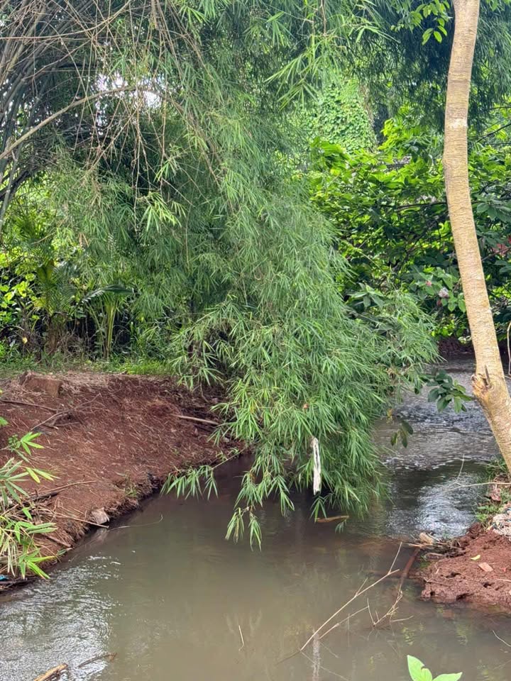 Đất nền 1200m² tại Bình Lộc, Long Khánh - Giá chỉ 1.6 tỷ, view suối đẹp!