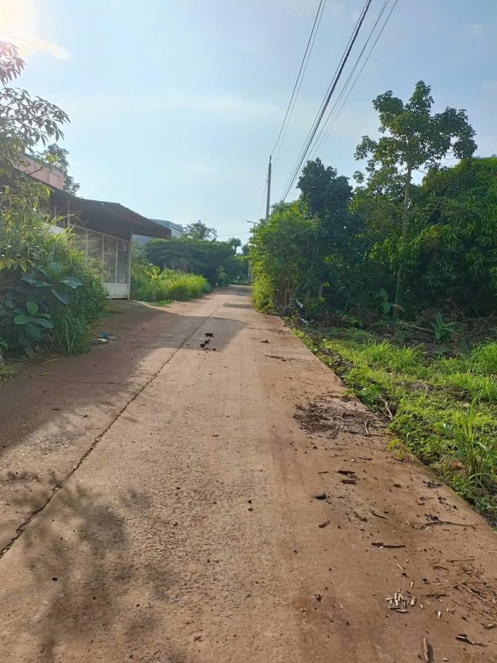 Đất nền Phú Bình, Long Khánh 100m² - Giá tốt cho nhà đầu tư!