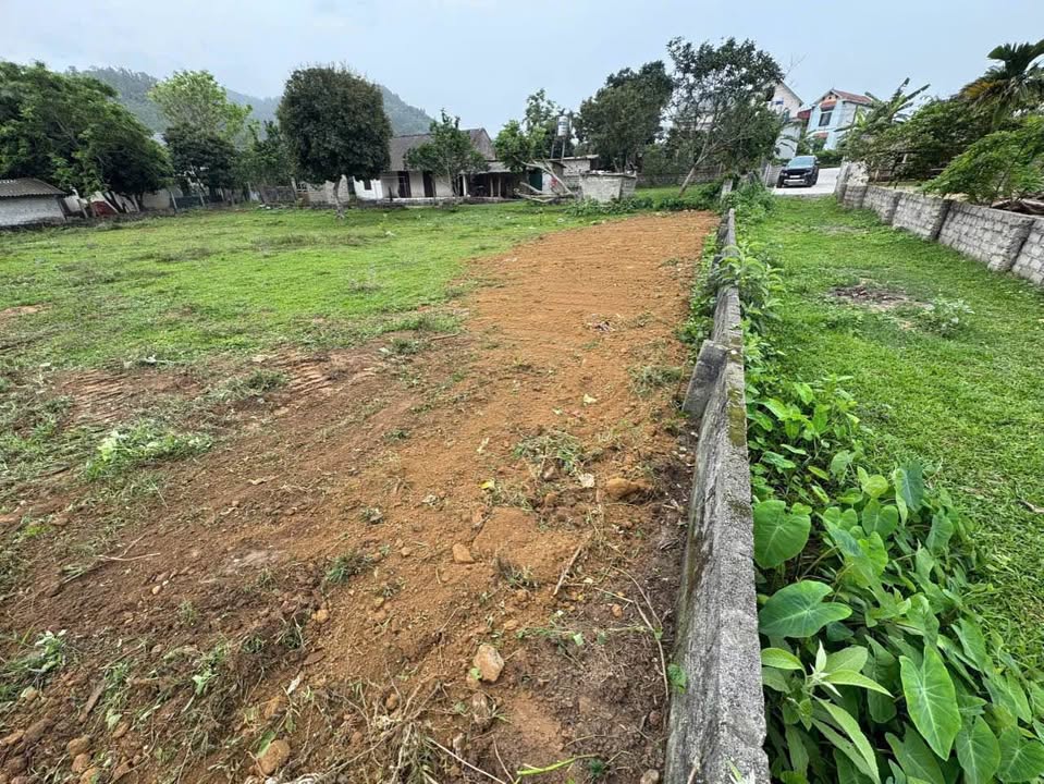 Đất thổ cư Yên Bài, Ba Vì 800m² giá 5 tỷ - Cơ hội đầu tư lý tưởng!