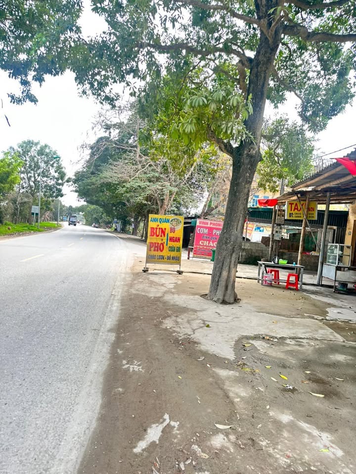 Đất mặt tiền Quốc Lộ 45, Triệu Sơn 100m² giá 2.6 tỷ - Kinh doanh thuận lợi!