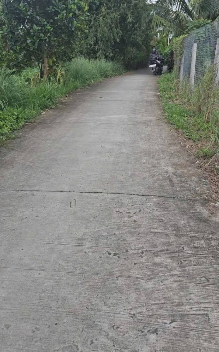 Đất mặt tiền 15 công tại Mỹ Hạnh Trung, Cai Lậy, Tiền Giang - Giá chỉ 8.25 tỷ!