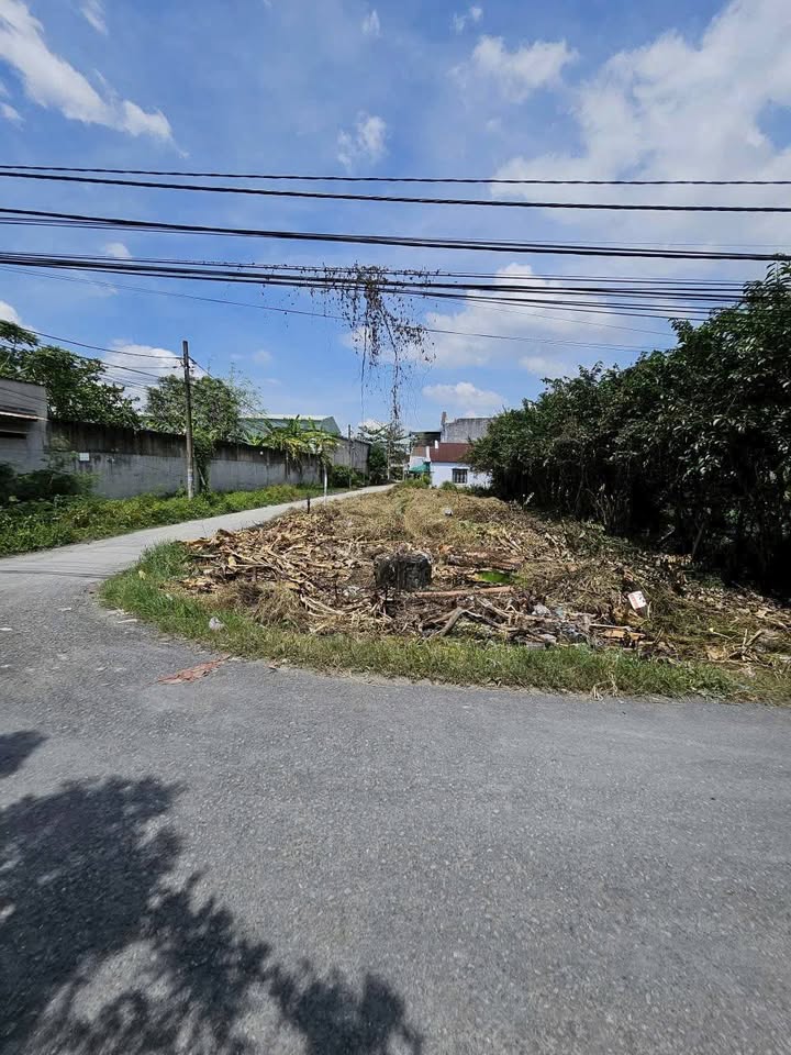 Đất nền 2 mặt tiền đường Nguyễn Thị Da, Bình Mỹ, Củ Chi 393m² - Tiềm năng đầu tư sinh lời!