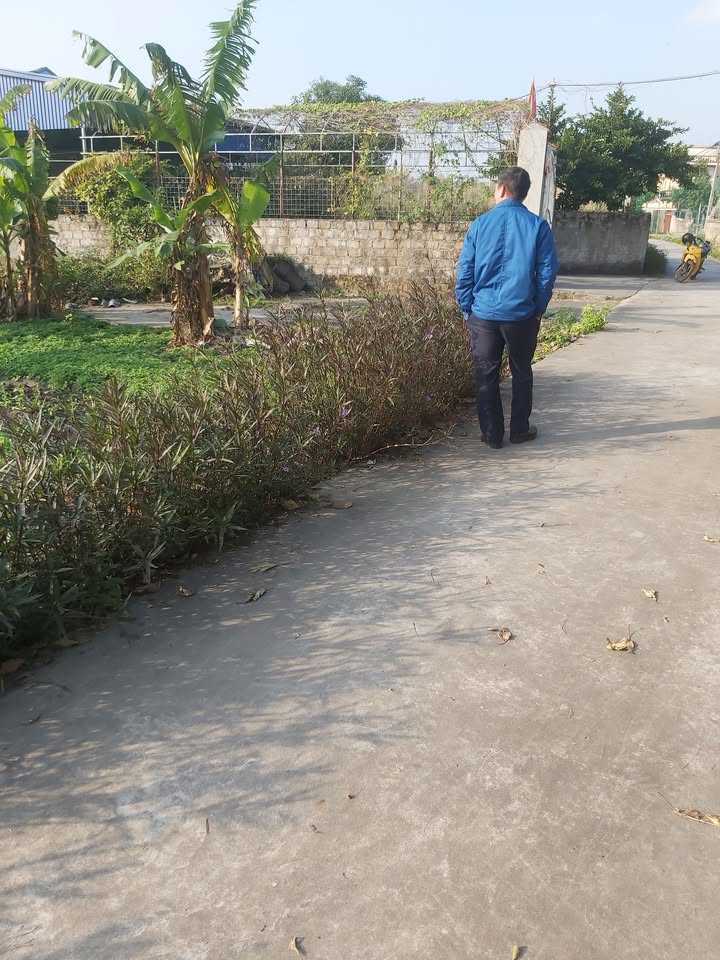 Đất nền Mạo Khê Đông Triều 174m² giá chỉ 600 triệu - Sổ hồng trao tay!