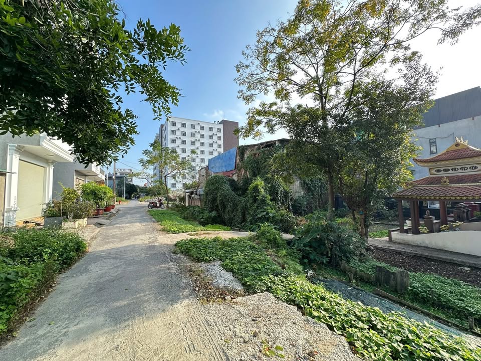 Đất mặt đường Nguyễn Tất Tố, Lê Chân 78m² giá chỉ 3 tỷ - Đầu tư sinh lời ngay!