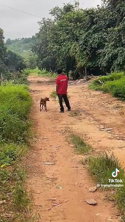 Đất nền 10000m² mặt tiền kênh tại Tây Ninh - Giá chỉ 1 tỷ!