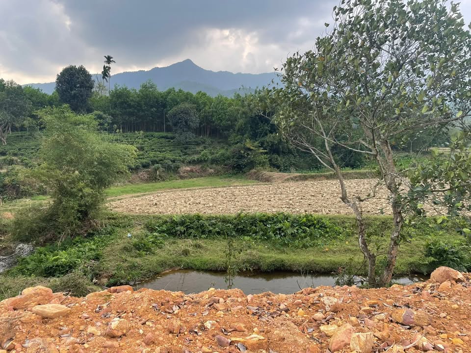 Đất nền Phúc Thuận, Thái Nguyên 10.000m² giá 5 tỷ - Cơ hội đầu tư tuyệt vời!