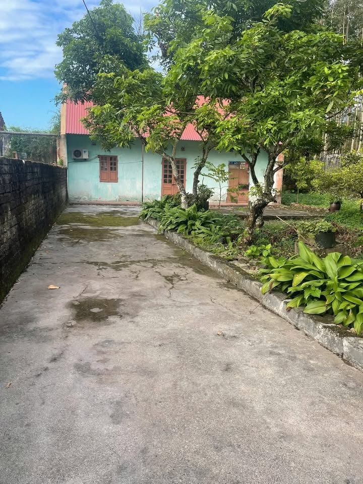 Bán gấp lô vườn 3000m² tại xã Bố Hạ, Yên Thế - Giá chỉ 1 tỷ!