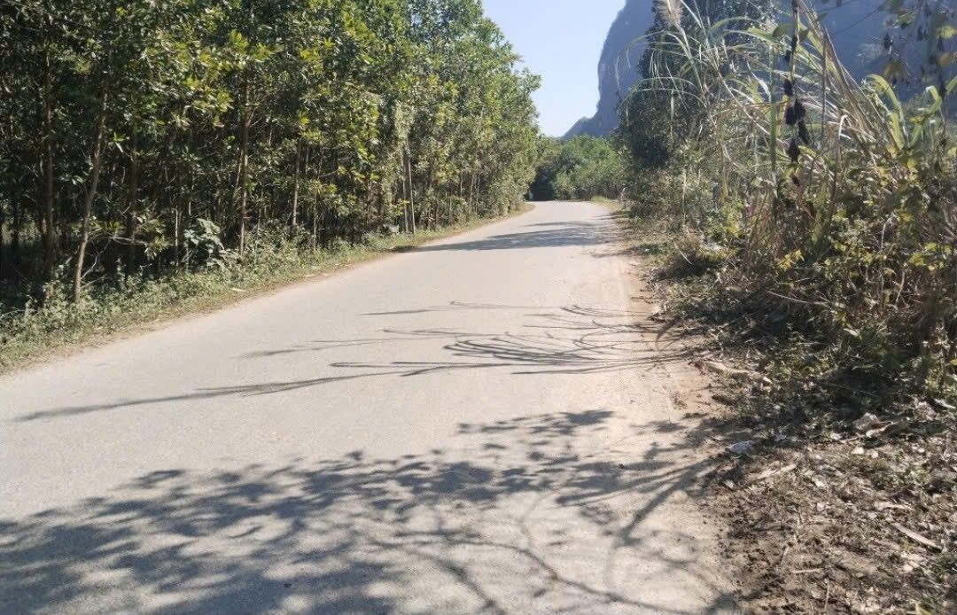 Đất nền 4000m² tại xã Dân Tiến, Thái Nguyên - Thanh khoản nhanh, giá thỏa thuận!