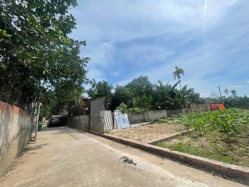 Đất Vân Hà Đông Anh 84m² giá 2 tỷ - Vị trí đẹp, dân cư đông đúc!