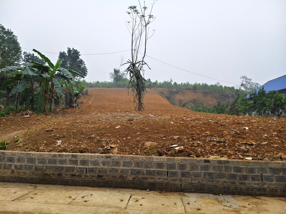 Đất nền Yên Trung, Thạch Thất, Hà Nội 1003m² - Tiềm năng đầu tư vượt trội!