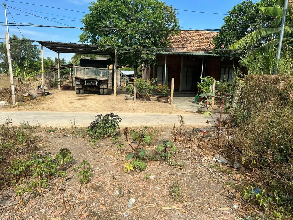 Đất thổ cư 60m² Ninh Xuân, Khánh Hòa giá chỉ 300 triệu - Đầu tư sinh lời hấp dẫn!