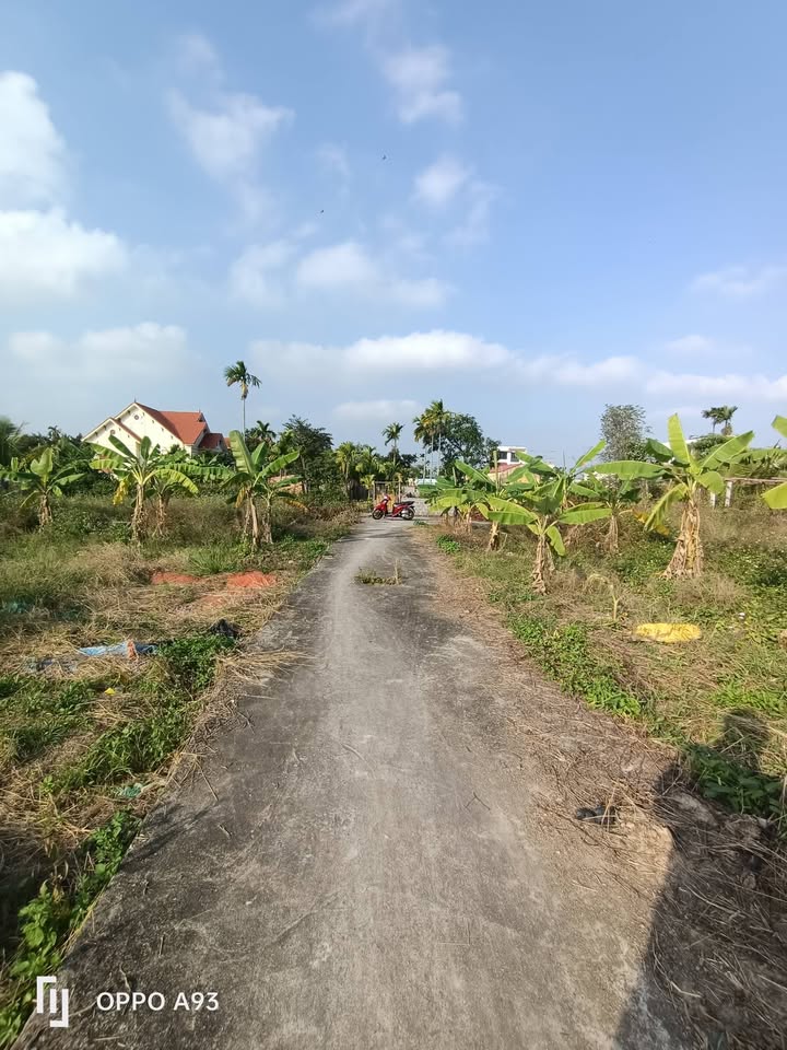 Đất nền Quốc Tuấn, An Dương 75m² giá 690 triệu - Cơ hội đầu tư hiếm có!