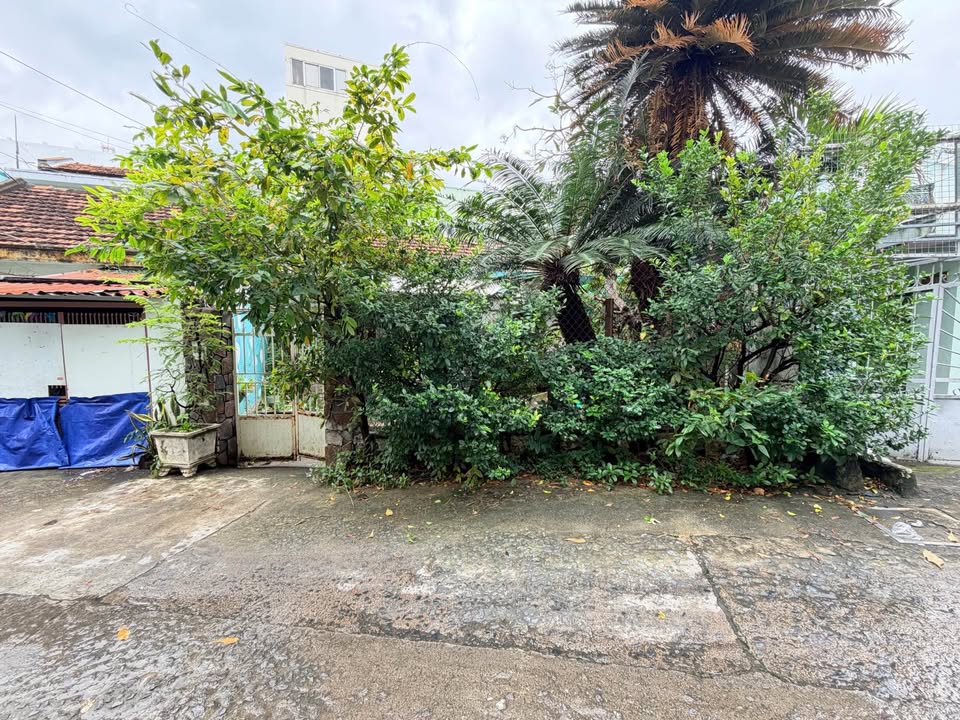 Đất nền hẻm ô tô Đường Đồng Nai, Phước Hải 148m² giá 7.696 tỷ - Cơ hội đầu tư hấp dẫn!