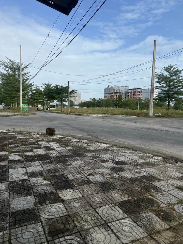 Đất nền Sentosa Riverside Đà Nẵng 150m² giá 4,2 tỷ - Đầu tư sinh lời lý tưởng!