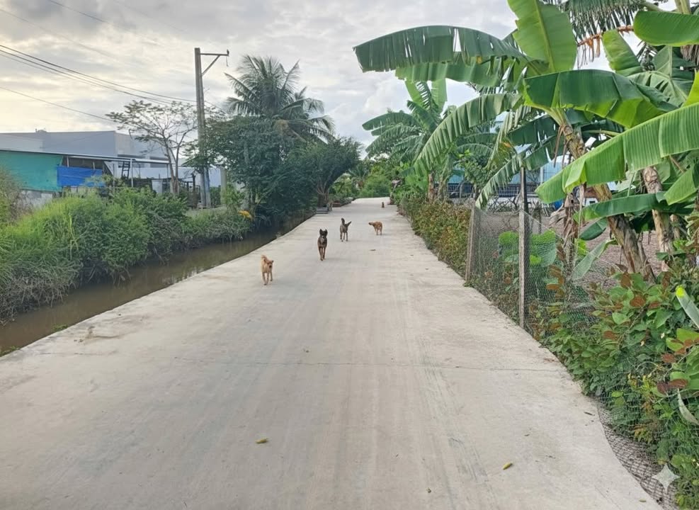 Đất nền Phong Nẫm Phan Thiết 140m² giá 770 triệu - Sổ hồng chính chủ!