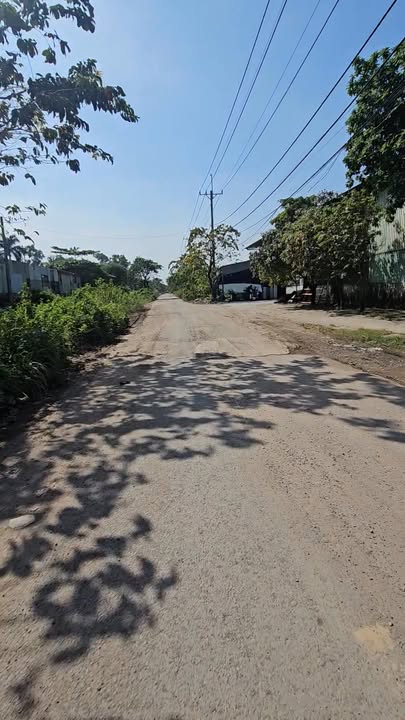 Nhà xưởng Tân Hiệp Hóc Môn 339m² giá 10.5 tỷ - Đầu tư sinh lời ngay!