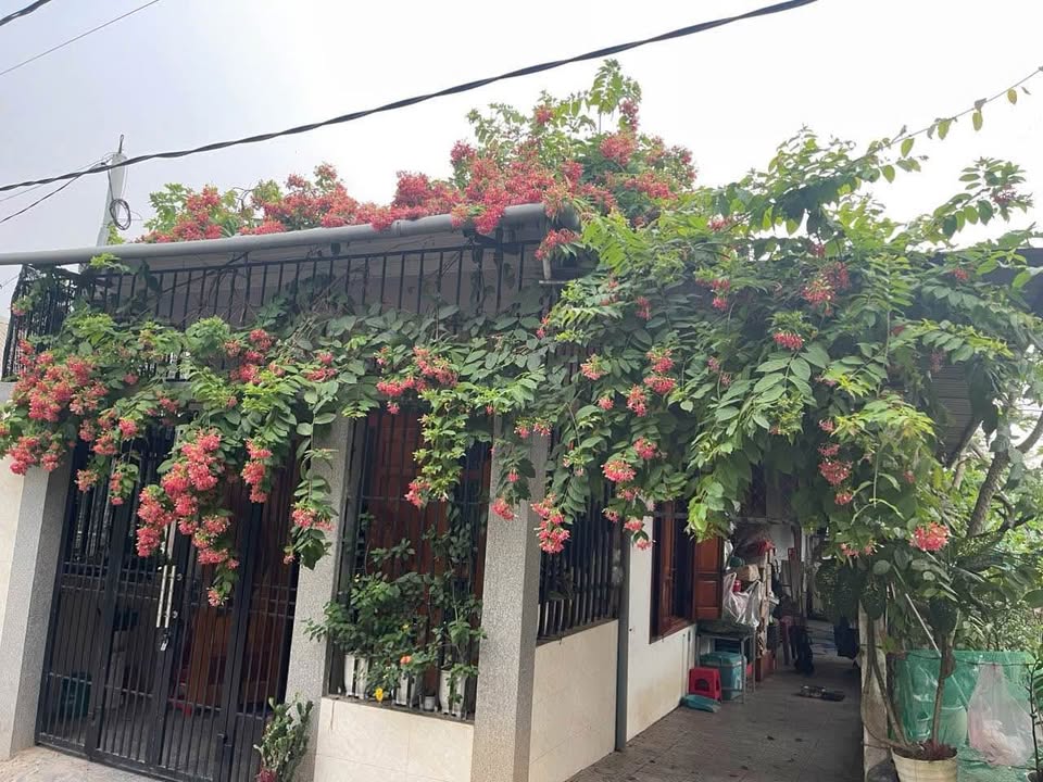 Nhà riêng Thủy Dương, Hương Thủy 80m² giá 2 tỷ - Chính chủ bán gấp!