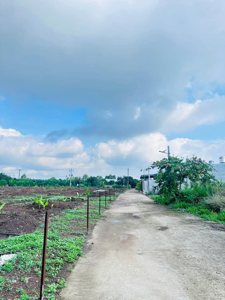 Đất thổ cư 114m² tại Gia Kiệm, Đồng Nai - Giá chỉ 720 triệu!