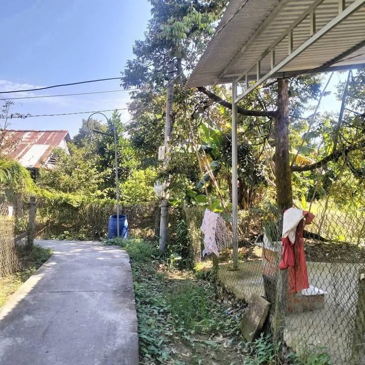 Đất nền 800m² tại Hội Nghĩa, Cai Lậy - Chỉ 900 triệu - Cơ hội đầu tư tuyệt vời!