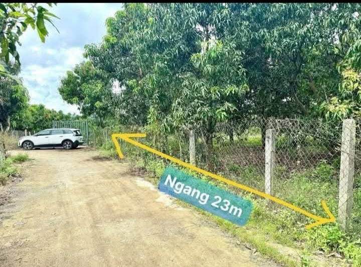 Đất vườn Suối Cát 1000m² giá 880 triệu - Đường ô tô thông thoáng!