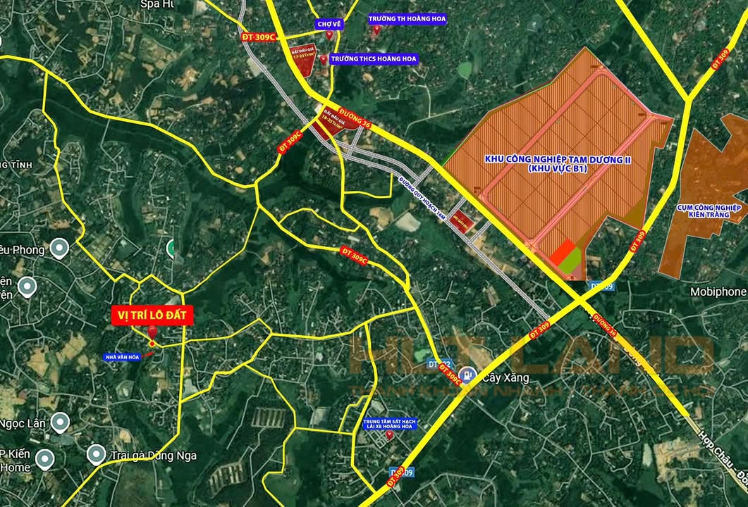 Đất nền lô góc 3 mặt tiền tại Tam Dương 131m² chỉ 917 triệu - Cơ hội đầu tư hiếm có!