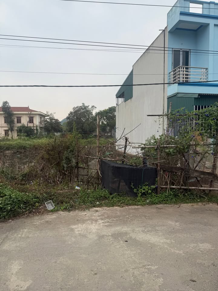 Đất nền đẹp tại Tam Điệp, Ninh Bình - Diện tích 100m², giá thỏa thuận hấp dẫn!