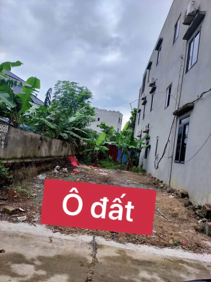 Đất nền Trung Mầu, Bình Xuyên 120m² giá 2.4 tỷ - Tiềm năng đầu tư lớn!