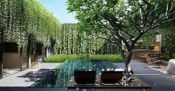 Đất thổ cư Cần Đước 180m² giá 1.25 tỷ - Đầu tư sinh lời ngay!