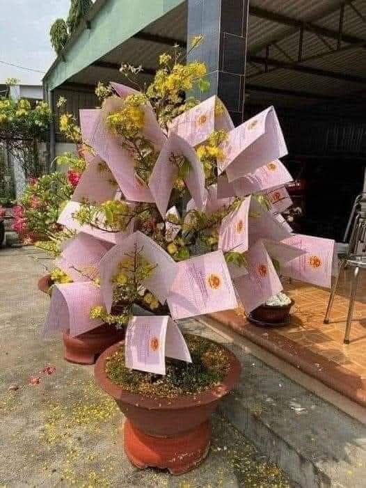 Đất liền kề Tịnh Phong, Sơn Tịnh 98m² giá chỉ 400 triệu - Cơ hội đầu tư tuyệt vời!