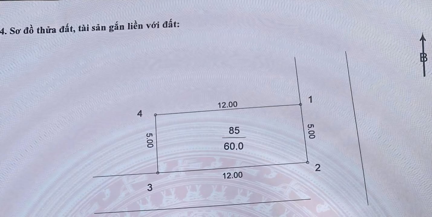 Đất nền Thạch Bàn, Long Biên 60m² - Lô góc, 2 mặt tiền cực đẹp!