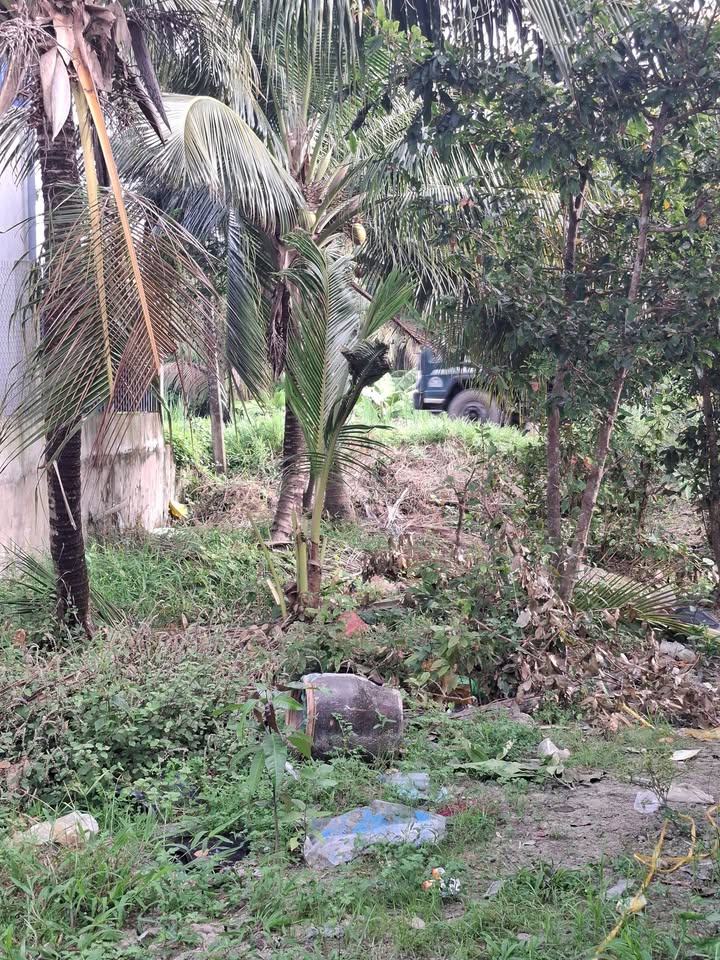 Đất nền mặt tiền đường huyện 65B, Vĩnh Long 152m² - Giá chỉ 399 triệu, cơ hội đầu tư tuyệt vời!