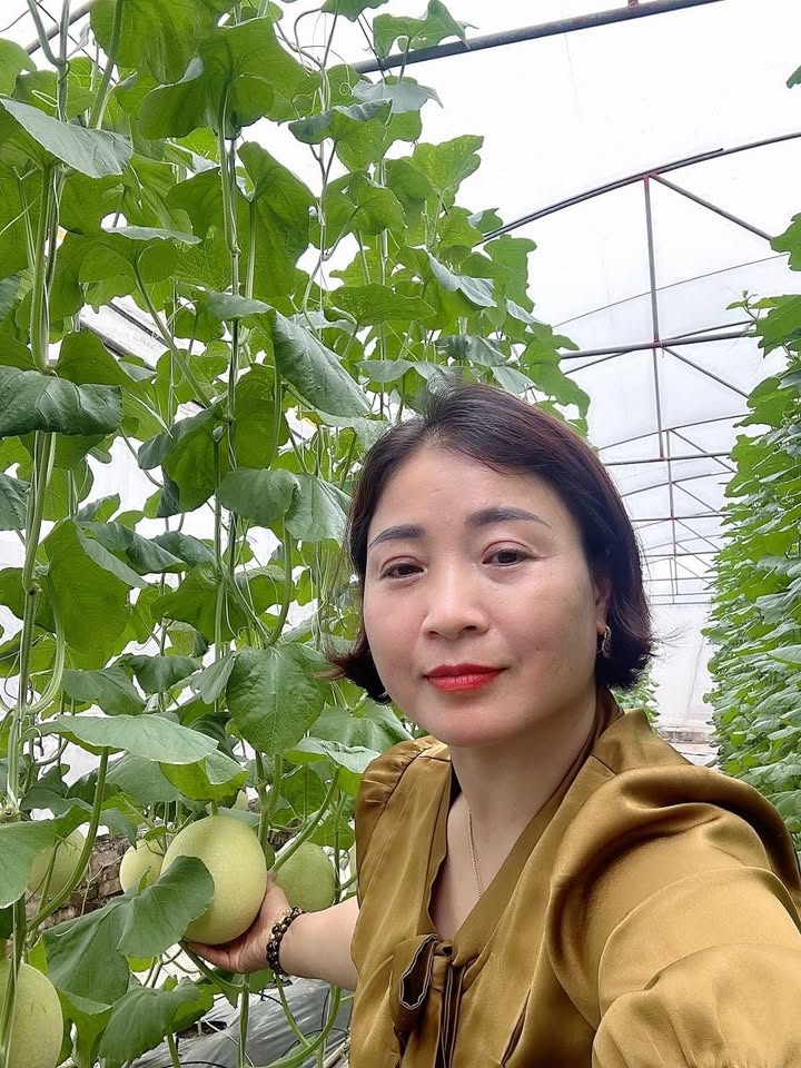 Đất mặt đường 31m tại Vân Hồ Sơn La 2100m² - Giá cực tốt, không quy hoạch!