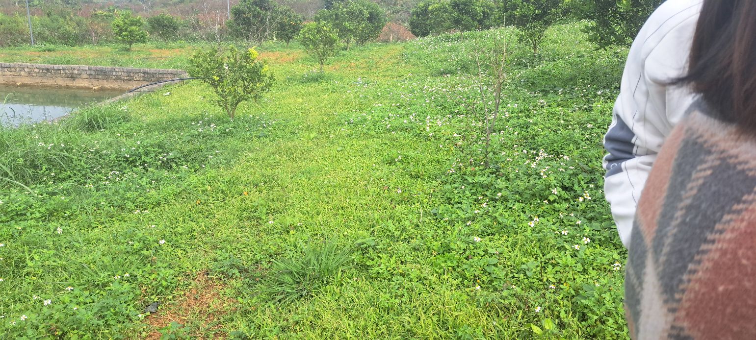 Đất đồi 1ha tại TDP Bó Bun, phường Vân Sơn, Mộc Châu - Giá chỉ 1 tỷ!