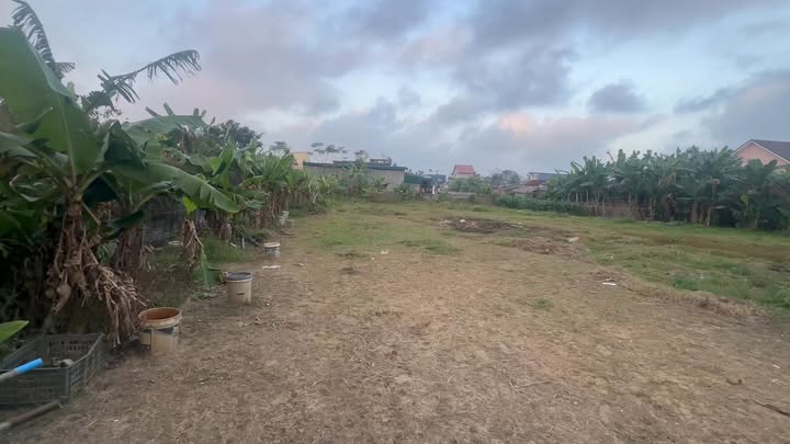 Đất thổ cư 1289m² tại Quảng Hải, Thanh Hóa - Cơ hội đầu tư tuyệt vời!