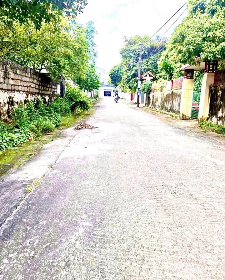 Đất nền thôn 4A xã Đông Sơn 110m² giá chỉ 9xx triệu - Đường ô tô vào tận nơi!