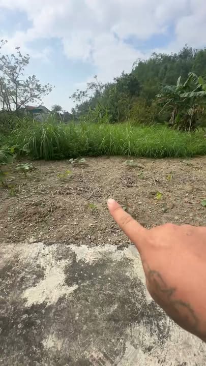 Đất nền xóm 4 Quỳnh Lâm 200m² giá 600 triệu - Cơ hội đầu tư tuyệt vời!