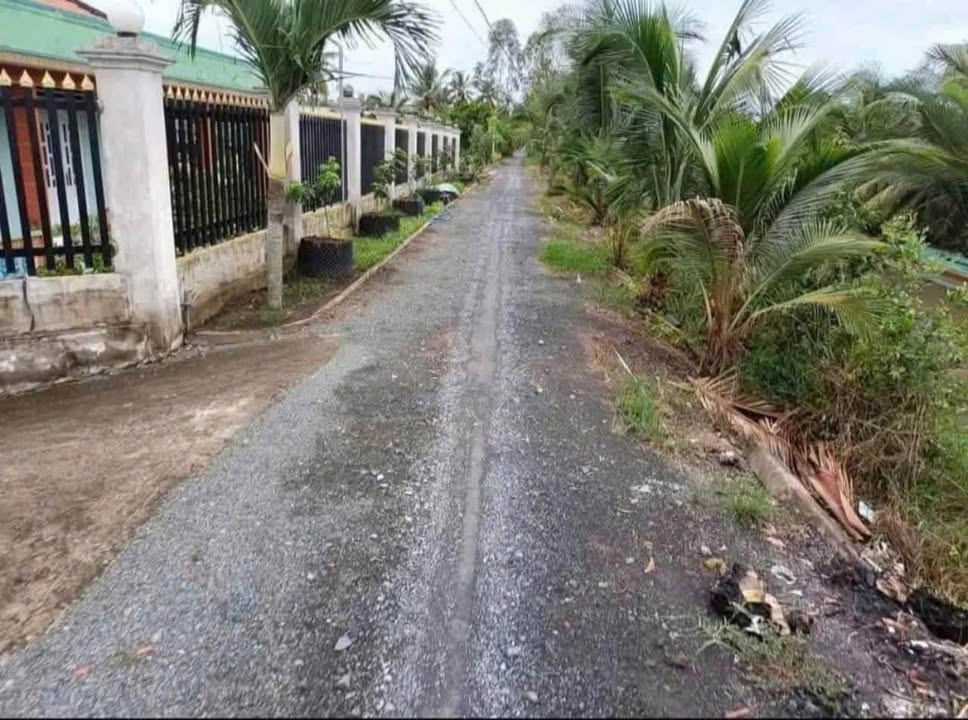 Đất vườn 500m² Lương Hoà, Bến Lức - Giá chỉ 670 triệu, đầu tư sinh lời cao!