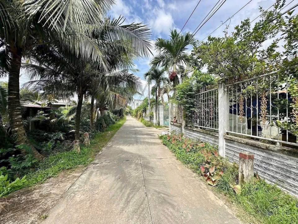 Đất thổ cư 980m² mặt tiền hẻm 1 Nguyễn Huỳnh Đức - Chính chủ bán giá chỉ 4.7 tỷ!