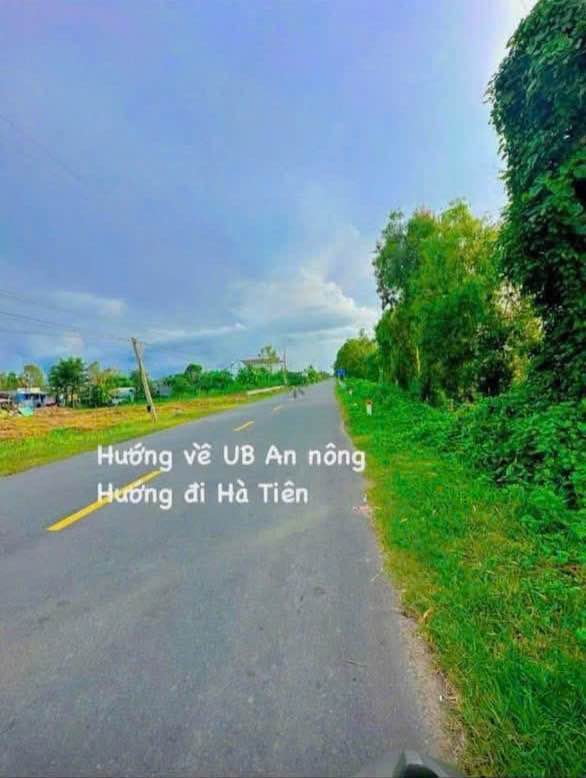 Đất nền mặt tiền Quốc lộ N1, phường Tịnh Biên, 80m² - Cơ hội đầu tư sinh lời!