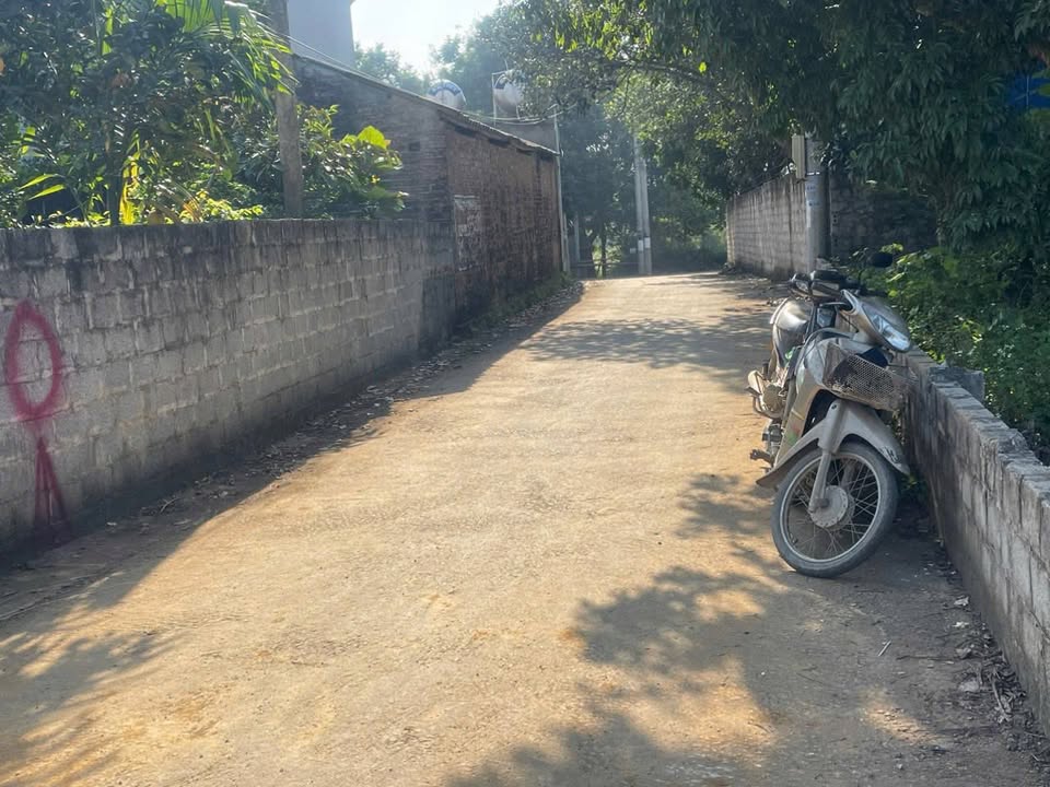 Đất thổ cư Phú Cát 367m² giá chỉ 3 triệu - Cơ hội đầu tư vàng!